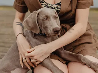Why Are Dogs So Loyal? Reasons, Downsides & FAQ