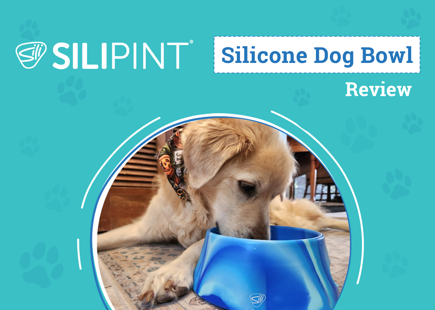 DOG_SAPR_Silipint Silicone Dog Bowl