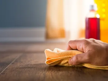 10 Best Cleaners for Dog Urine on Hardwood Floors in 2026 - Reviews & Top Picks