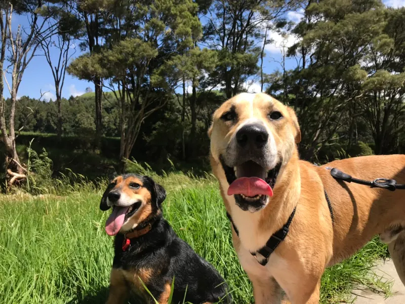 Rosa and Mac