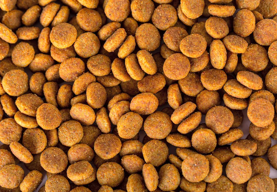 Kibble dog food