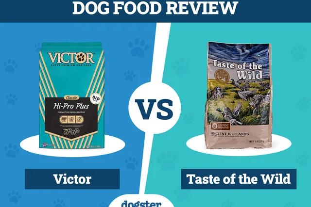 Victor vs Taste of the Wild Dog Food: 2026 Comparison, Pros & Cons