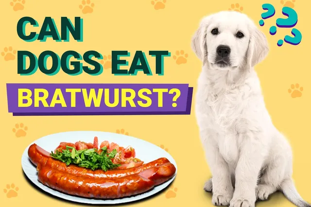 Can Dogs Eat Bratwurst? Vet-Verified Facts & FAQ
