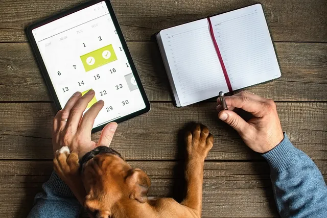 How to Make a Daily Dog Schedule: A Vet-Approved Routine for Your Pup