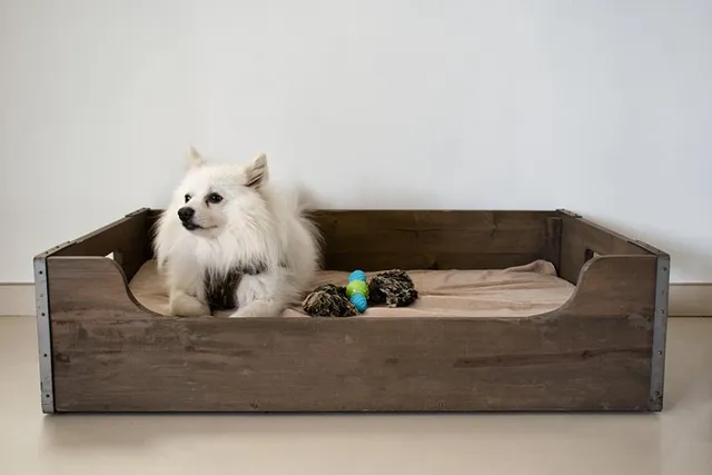 4 Vet-Approved Benefits of Orthopedic Dog Beds & How to Choose One