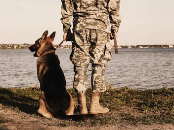 Navy Seal Dogs: Exploring Their Incredible World