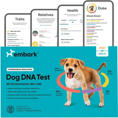 Embark Breed Identification & Health Condition Identification DNA Test for Dogs