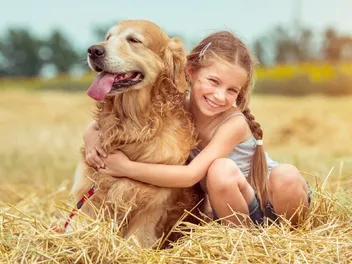 10 Most People-Pleasing Dog Breeds (With Info & Pictures)