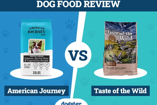 American Journey vs Taste of the Wild Dog Food: Our 2026 In-Depth Comparison