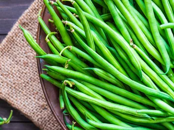 Can Dogs Be Allergic to Green Beans? Vet-Reviewed Dog Allergy Advice