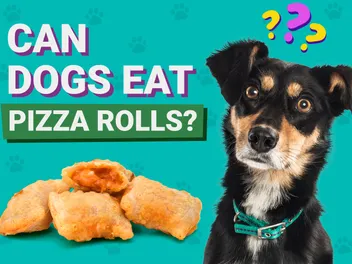 Can Dogs Eat Pizza Rolls? Vet-Verified Nutrition Facts & Concerns