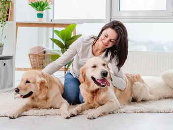 Can Dogs Feel Envy or Jealousy? Vet-Reviewed Facts & FAQ