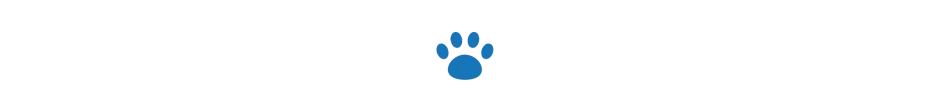 divider single dog paw oct 2024