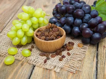 Why Raisins & Grapes Are Toxic To Dogs: Our Vet Explains