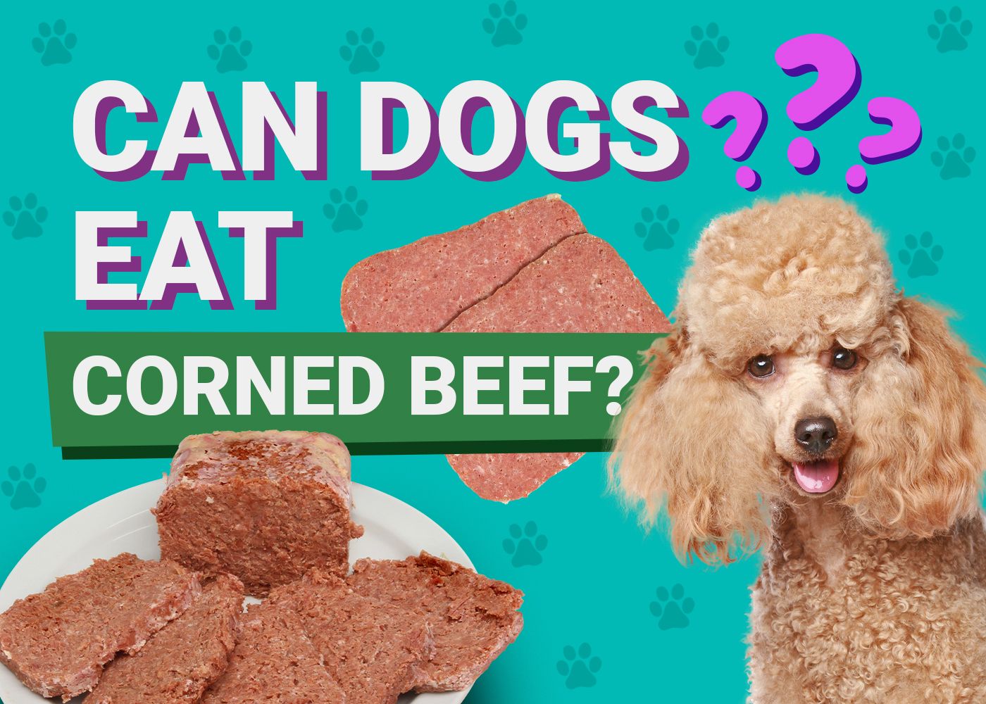 can dogs eat corned beef?