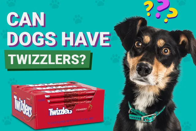 Can Dogs Have Twizzlers? Vet Approved Facts & FAQ