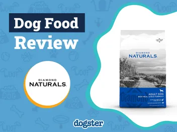 Diamond Naturals Dog Food Review 2026: Pros, Cons, Recalls & FAQ