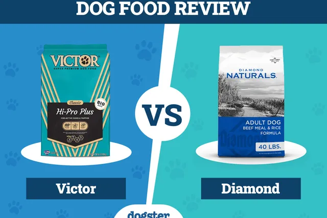 Victor Dog Food vs Diamond: Pros, Cons & What to Choose in 2026