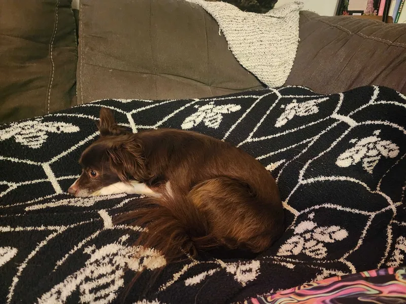 That lump under the blanket is my daughter.