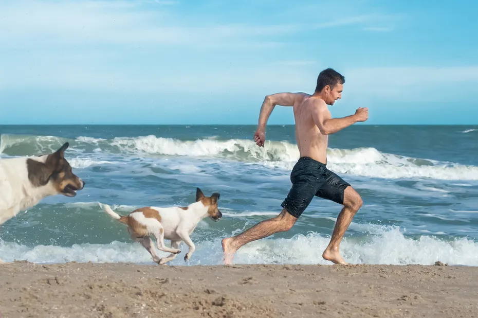 Guy running away from angry dogs