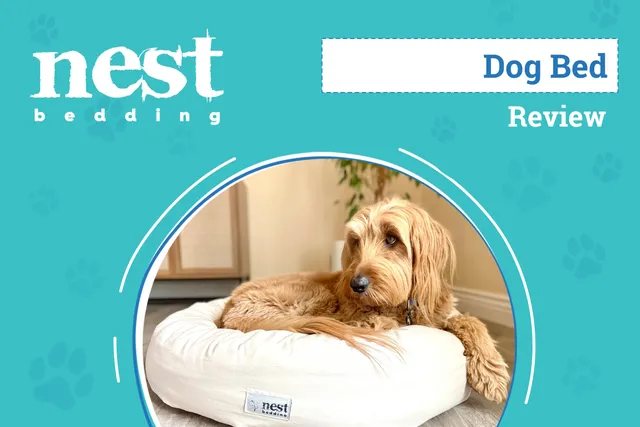 Nest Bedding Bolstered Pet Bed Review 2026: An Expert’s Breakdown