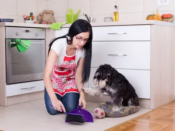 Why Is My Dog Pooping in the House? 8 Vet-Reviewed Reasons