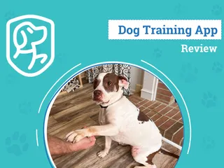 Woofz Dog Training App Review 2026: An Expert's Breakdown