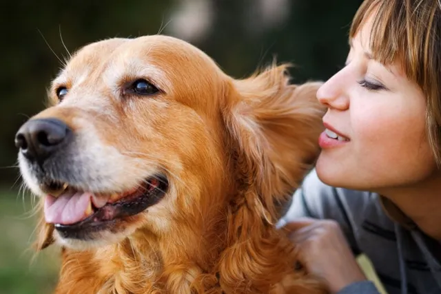 What Noise Levels Are Healthy for Dogs? Vet Reviewed Decibel Guide