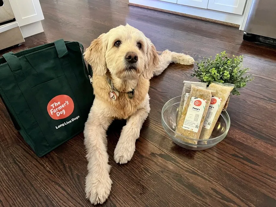 Finny-with-the-farmers-dog-food