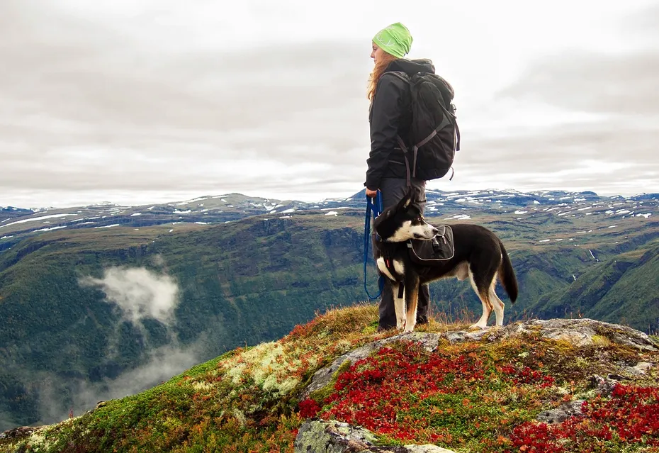 girl hiking with her pet husky