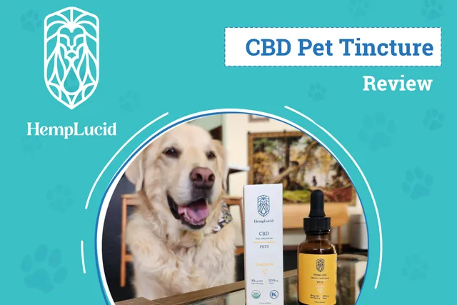 HempLucid Pet CBD Tincture Review 2026: An Expert’s Breakdown