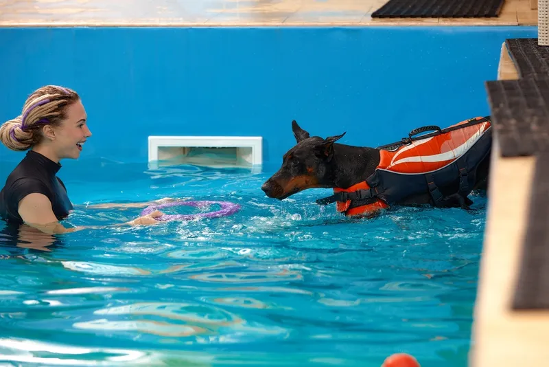 Dog trainer at the swimming pool