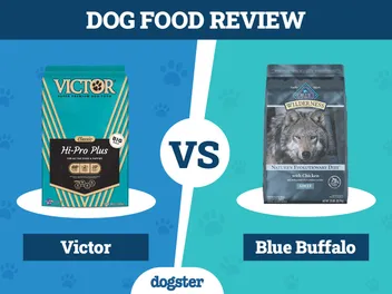 Victor Dog Food vs Blue Buffalo 2026 Comparison: Pros & Cons