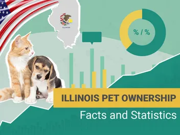 12 Pet Ownership Statistics in Illinois: Updated in 2026