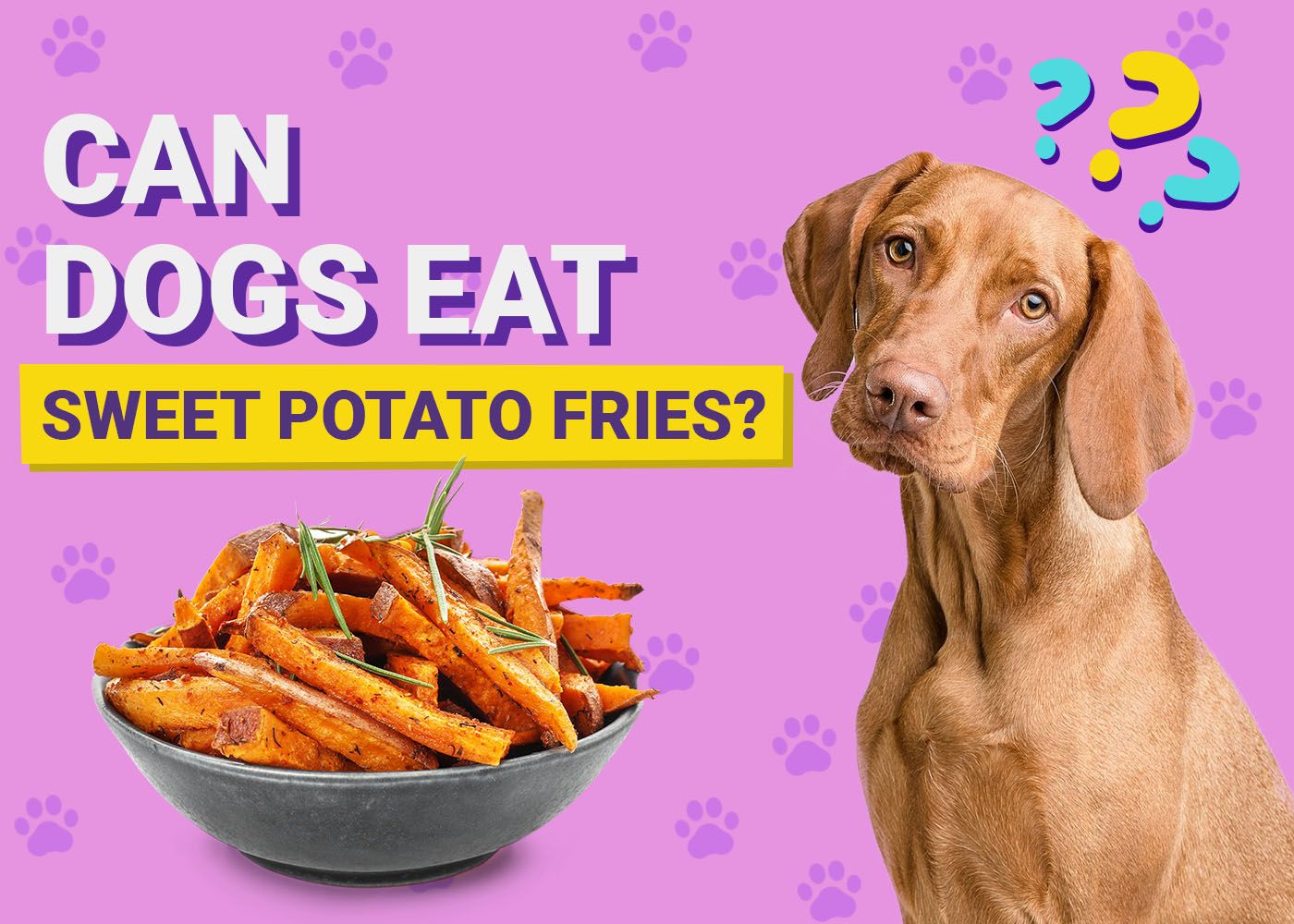 Dogster-Can-Dogs-Eat-Sweet-Potato-Fries