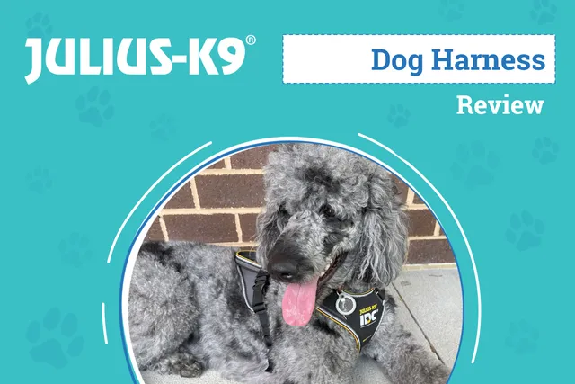 Julius K9 Longwalk Dog Harness Review 2026: An Expert's Breakdown