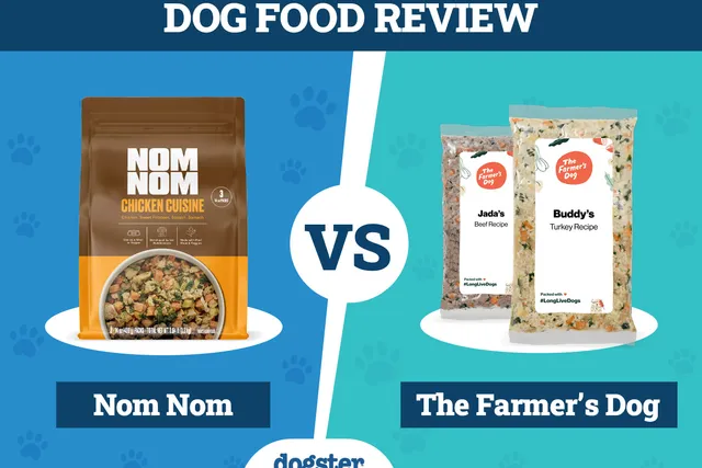 Nom Nom vs. The Farmer’s Dog Freshly Made Dog Food: 2026 Comparison
