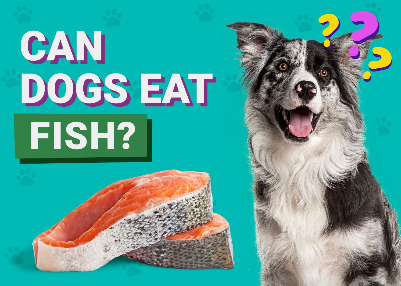Can Dogs Eat_Fish