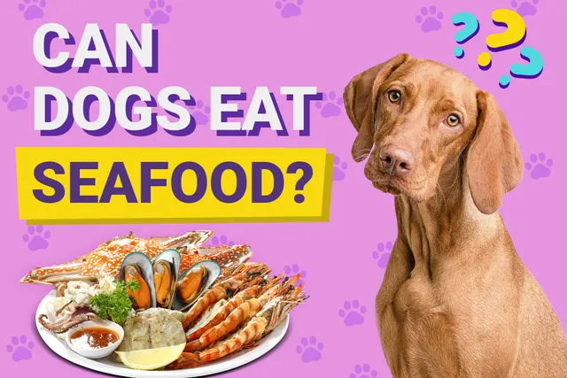 Can Dogs Eat Seafood? Vet-Reviewed Health Facts, Benefits & Risks