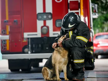How to Prepare for a House Fire With a Dog: 6 Vet-Approved Steps