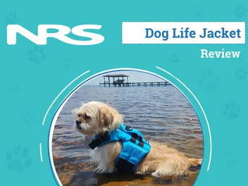 NRS CFD Dog Life Jacket Review 2026: An Expert’s Breakdown