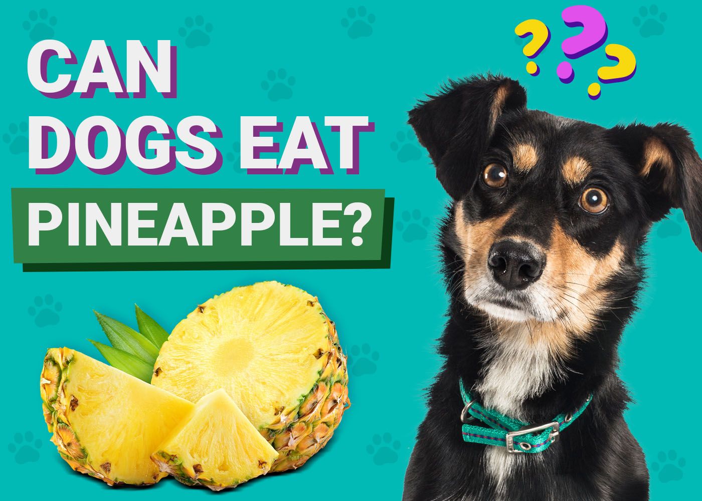 Can Dogs Eat Pineapple