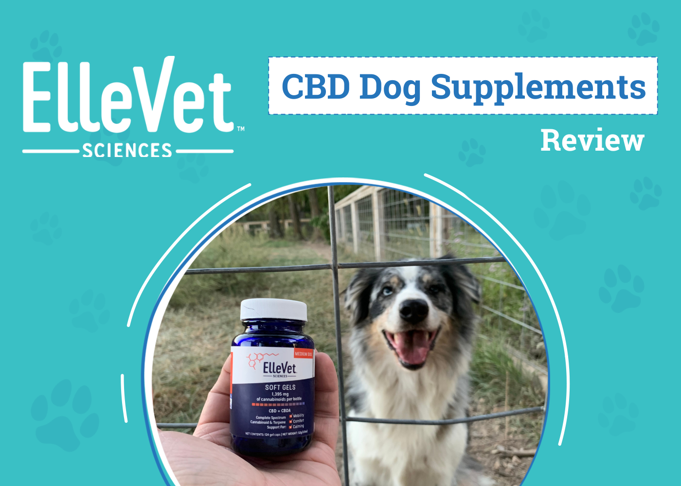 DOG_SAPR_ElleVet CBD Dog Supplements
