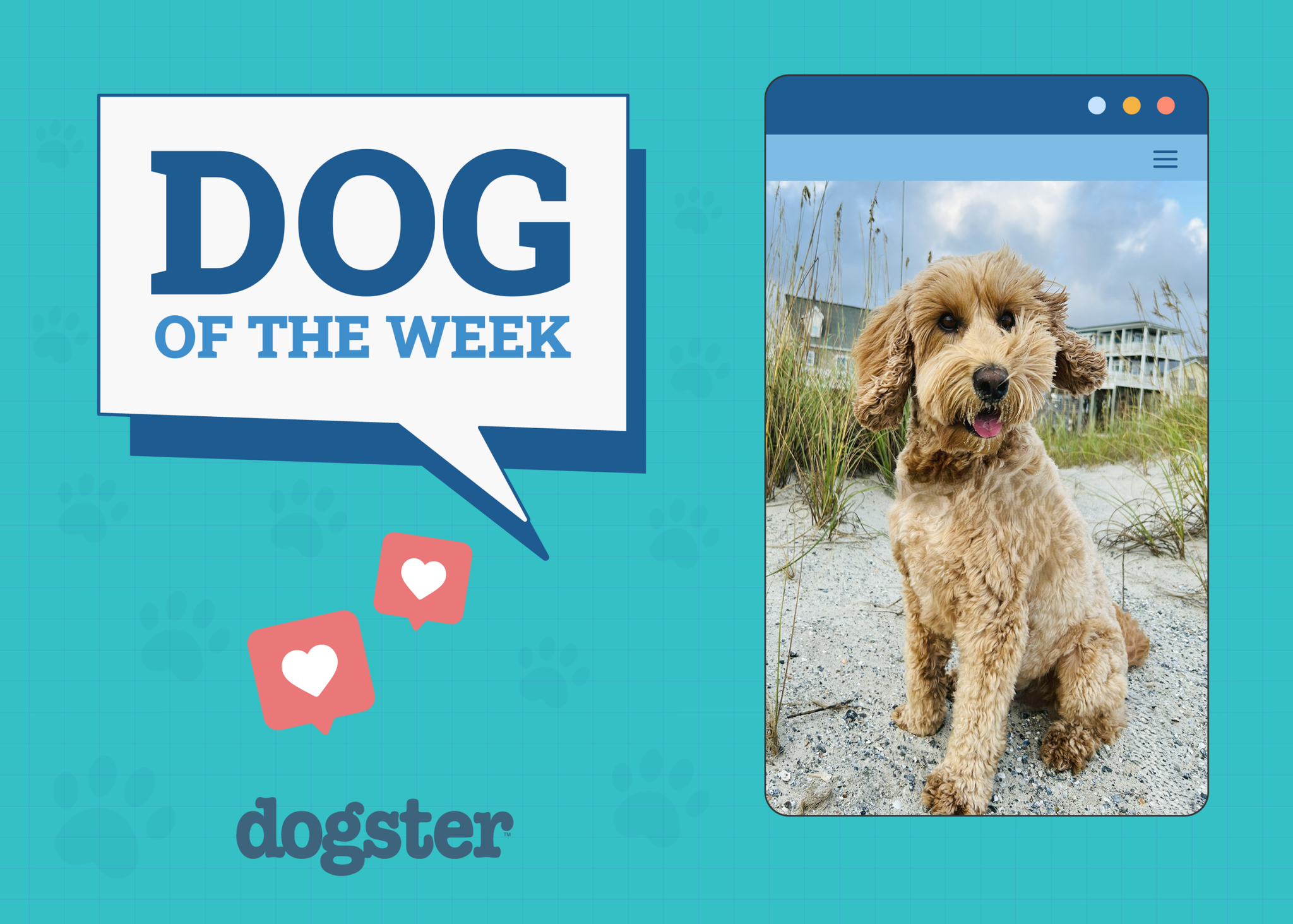 Dogster Photo Contest: Dogs of the Week Winners (September 18, 2025)