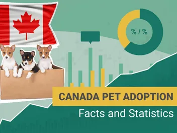 10 Canada Pet Adoption Statistics & Facts to Know in 2026