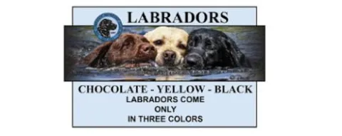 Shadowmyst labradors logo