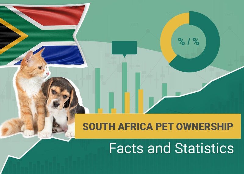 14 South Africa Pet Ownership Statistics to Know in 2026