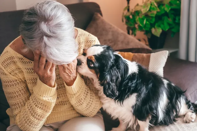Can Dogs Sense Depression and Anxiety? Vet-Verified Facts & Info