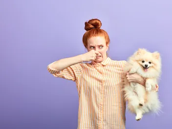 Why Does My Dog’s Skin Smell Bad and Itch? 6 Vet-Reviewed Reasons