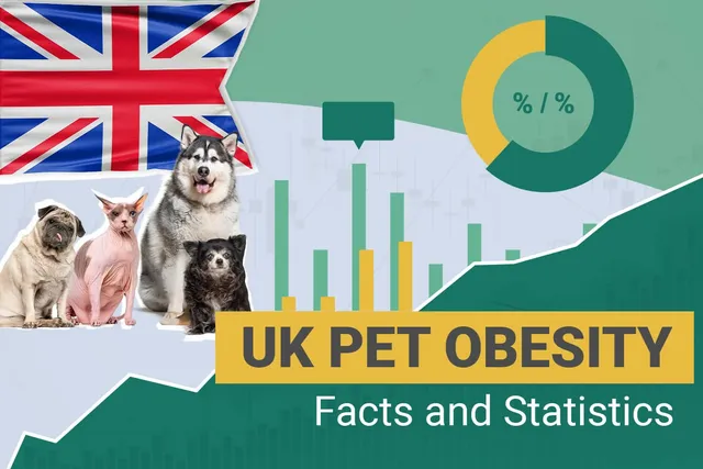 12 UK Pet Obesity Statistics & Facts to Know in 2026: Dogs, Cats, & Other Pets